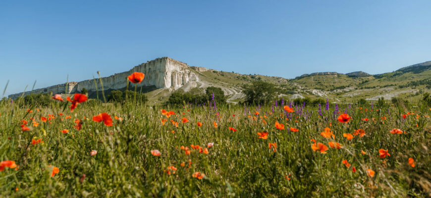 Крымские курорты для семейного отдыха